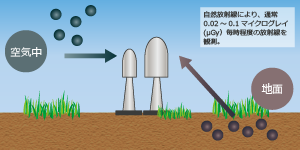 通常の観測値