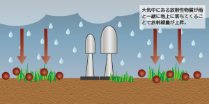 降雨時の観測値変動